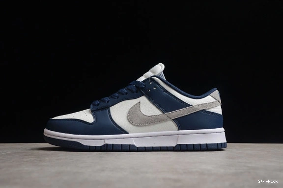 Summit Nike Dunk White Midnight FD9749-400 Low Navy 0707